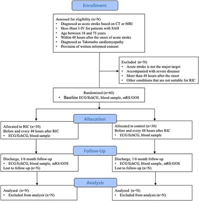 Effect of Remote Ischemic Conditioning in Patients With Takotsubo Syndrome After Acute Stroke: Study Protocol for a Randomized Controlled Trial